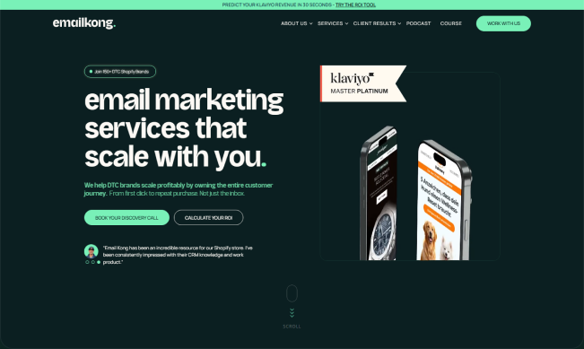 Email Kong website designed and built by Mint SEO